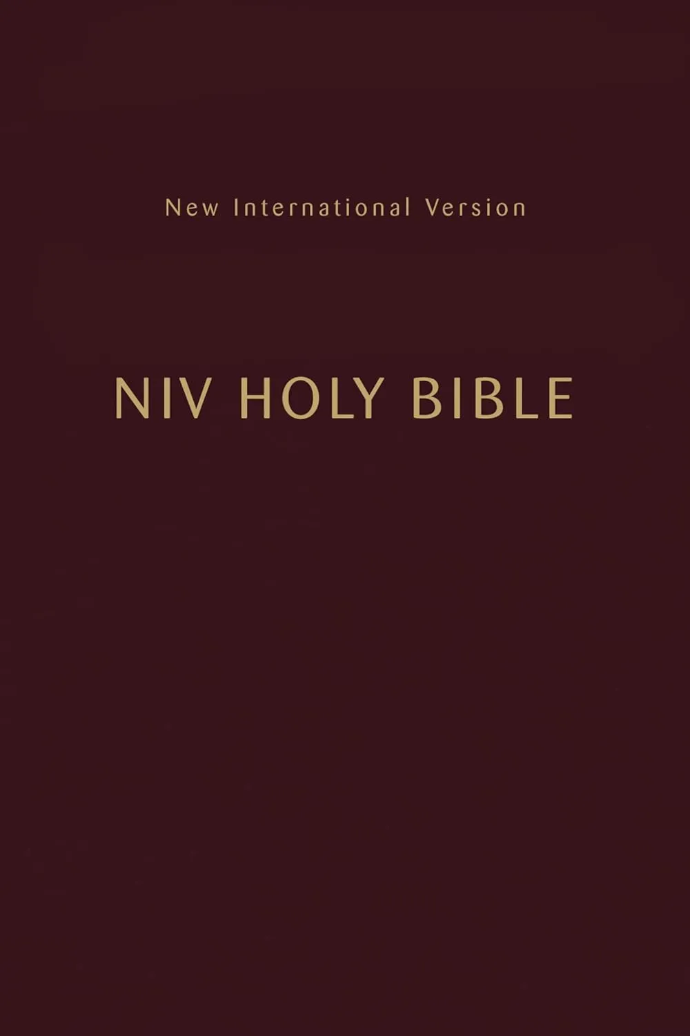 NIV, Holy Bible, Compact, Paperback, Burgundy, Comfort Print Paperback  July 19, 2022
