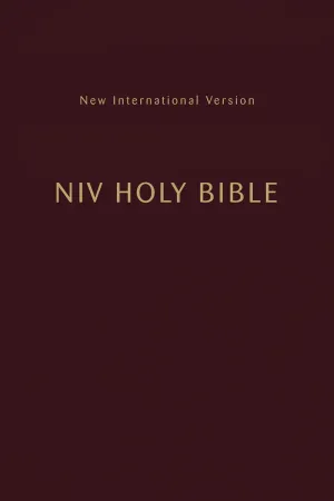NIV, Holy Bible, Compact, Paperback, Burgundy, Comfort Print Paperback  July 19, 2022